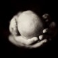 black and white image of little rock newborn baby boy in his father hands