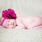 simple color portrait of newborn baby girl from west little rock arkansas with pink flower headband