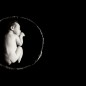 black and white image of newborn baby sleeping in basket