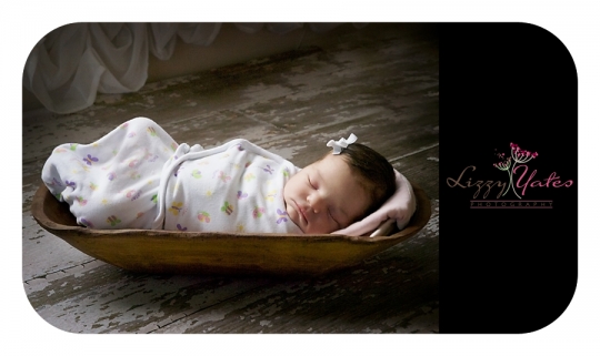Little Rock Arkansas Newborn Photography