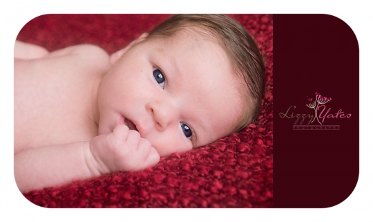 Natural Light Newborn Photography in Little Rock