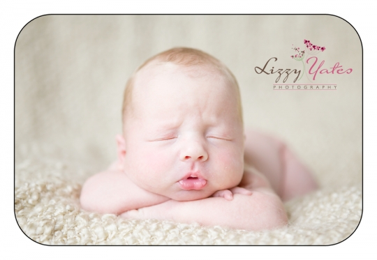 Newborn pictures in Little Rock and Central Arkansas
