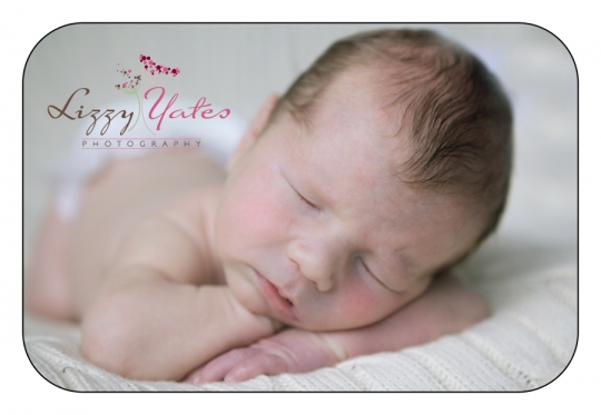 custom newborn photographs taken in little rock arkansas 