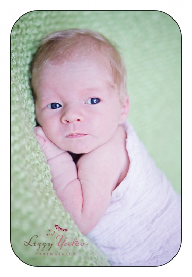 Award winning newborn photography in Central Arkansas