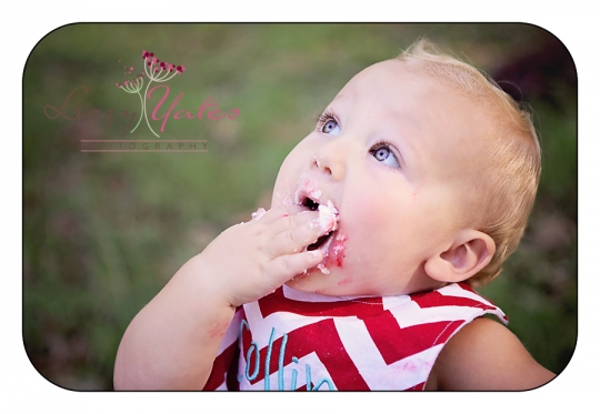 1 year old pictures in little rock with cake smash