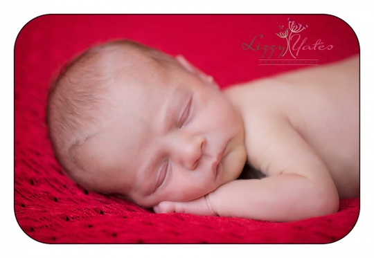 Beautiful newborn girl photographed in little rock arkansas