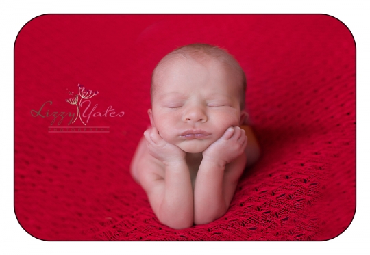 high quality newborn photography in little rock arkansas