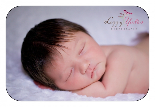 newborn baby pictures by arkansas photographer lizzy yates