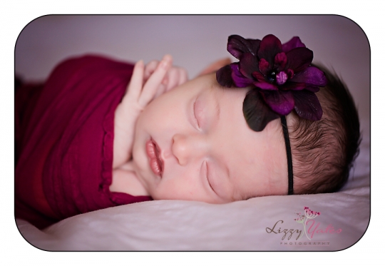 sweet newborn baby girl in arkansas lizzy yates photography