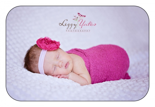 arkansas newborn photography lizzy yates