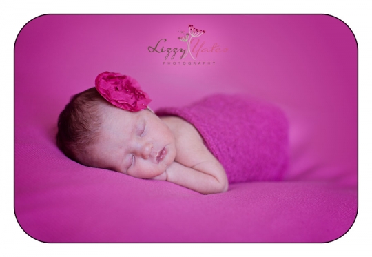 baby girl arkansas newborn pictures lizzy yates