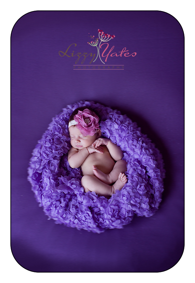 little rock newborn photographer lizzy yates